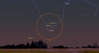 See the moon and Venus join close together tonight