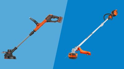 String trimmer vs lawn edger—which yard tool do you need?