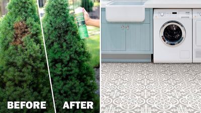 60 weird things that'll make your home & yard look better in under 5 mins