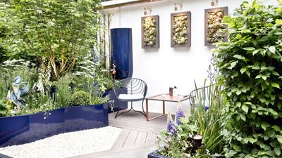 How to garden on a west-facing balcony – 3 ideas for growing in a suntrap