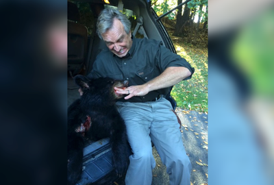 RFK Jr wildly confesses to dumping dead bear cub in Central Park a decade ago