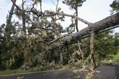 Teenager Killed By Falling Tree In Hurricane Debby Aftermath