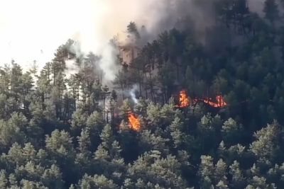 Electrocuted bird sparks Colorado brush fire