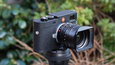 Much-needed firmware fix for Leica M11 cameras