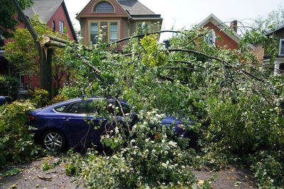 Tornado briefly sweeps into Buffalo, damaging buildings and scattering tree limbs