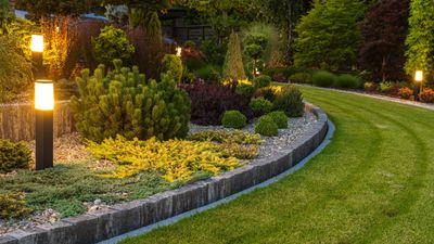 How much does landscaping cost for small, medium, and big yards — and how to calculate your budget