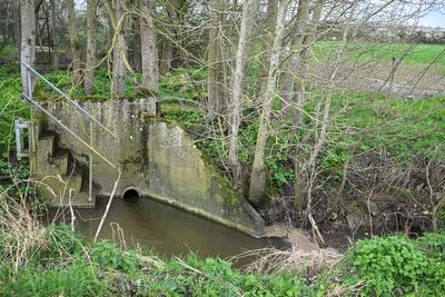 Three of England’s biggest water companies face £168m in fines over sewage spills