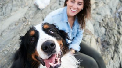 How long do dogs live? We checked with a vet