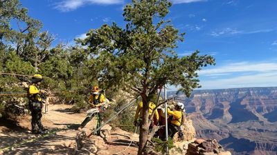 BASE jumper dies attempting illegal jump at Grand Canyon