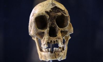 ‘Hobbit’ bone from tiny species of ancient humans found on Indonesian island