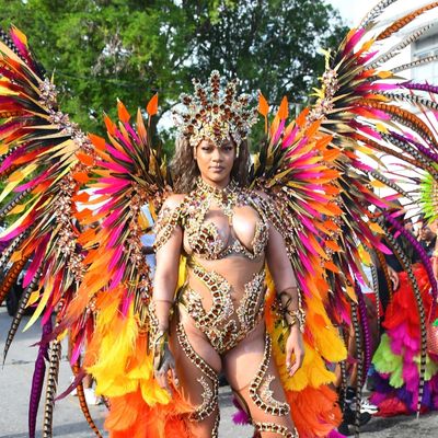 Rihanna Attends Barbados Carnival Nearly Naked, Covered in Crystals