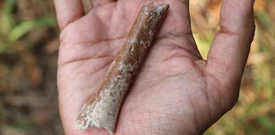 Tiny fossil arm bone sheds light on evolution of ancient Indonesian ‘hobbits’