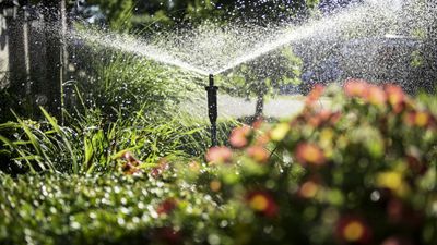 Sprinkler vs soaker hose – which is the best choice for watering your yard?