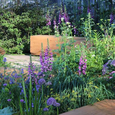 Should you deadhead perennials? Experts reveal the importance of this garden task