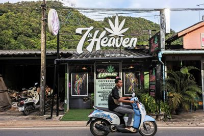 Why Thailand's weed battles matter