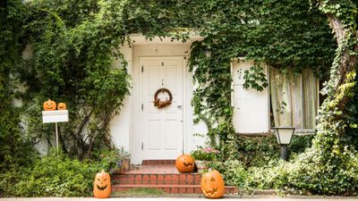 The 5 most common pests to protect your home and yard from in fall