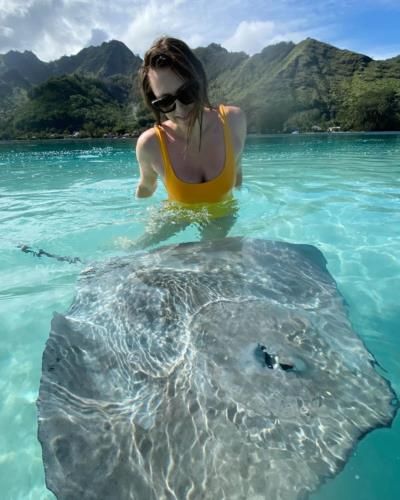 Maria Sharapova's Serene Ocean Encounter With Stingray