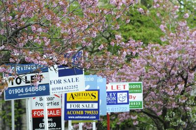 20% of house hunters ‘spend under 20 minutes looking around before making offer’