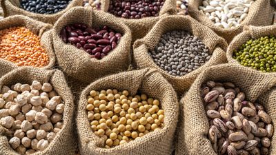 How long can you store seeds for? Experts reveal how to keep seeds safe in storage for longer