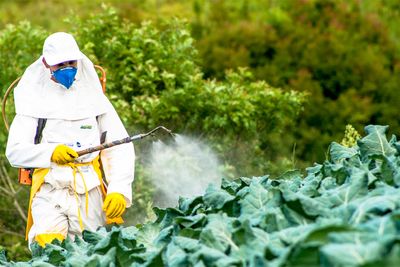 Study finds how pesticide exposure linked with stillbirth risk