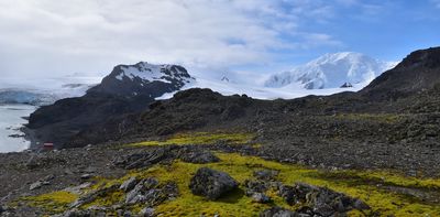 First map of vegetation across Antarctica reveals a battle for the continent’s changing landscape