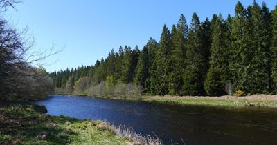 61-year-old man dies after falling from canoe in Highlands