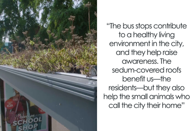 People Online Are Amazed By Dutch City That Recently Installed Over 300 Green-Roofed Bus Stops