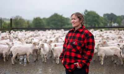 ‘I feel like I’ve been run over by a tank’: Scottish woman breaks world sheep-shearing record