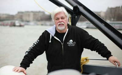 Anti-whaling Activist Watson Says Greenland Arrest 'Political'