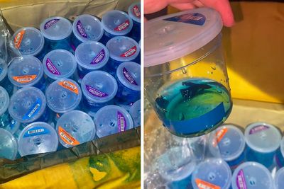 Dumpster Diver Finds Dozens Of Live Fish Just Tossed Away Behind A PetSmart, Netizens Outraged