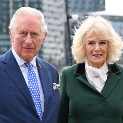 Queen Camilla Didn't Want King Charles to Share Cancer Diagnosis, But He "Overruled" Her