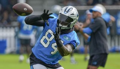 Panthers release TE Stephen Sullivan from injured reserve