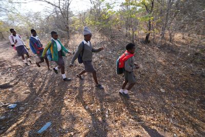 Zimbabwe schoolchildren face threats from animals as they walk to school