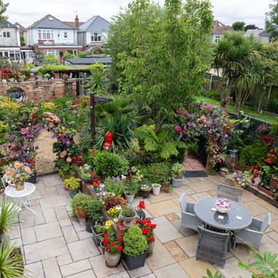 This award-winning garden is a vibrant example of how a garden can be zoned for entertainment