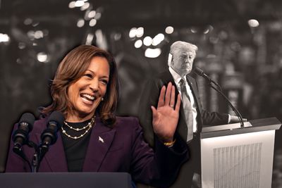 Harris has gotten under Trump's skin