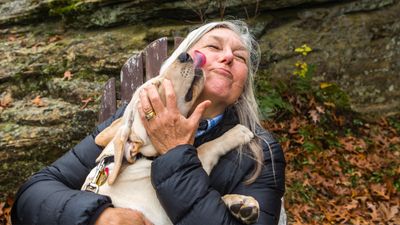 Labrador goes viral after their sweet reaction to being reunited with owner melts hearts