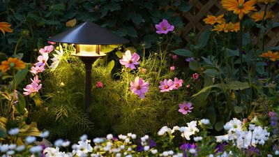Are solar lights ever worth it? 5 truths from an expert product tester