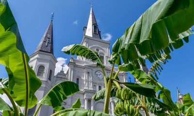 Outside trustee formally sought for New Orleans church bankruptcy as costs soar