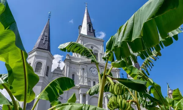 Outside trustee formally sought for New Orleans church bankruptcy as costs soar