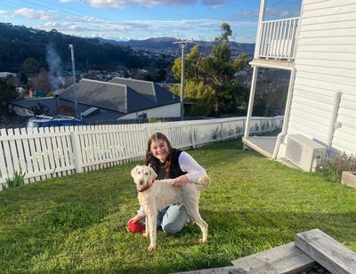 A new home for Noodle, one of 250 labradoodles rescued from a Tasmanian puppy farm