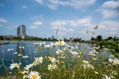 The heatwave is coming to London! 10 wild swimming spots to cool off within an hour of London