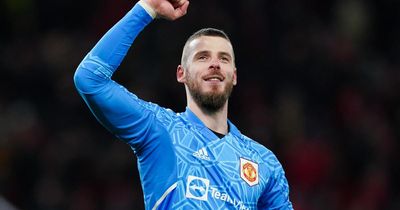 Former Manchester United favourite David de Gea ends year-long wait to find new club