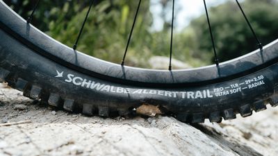 Will Schwalbe's new radial technology revolutionize tires forever?