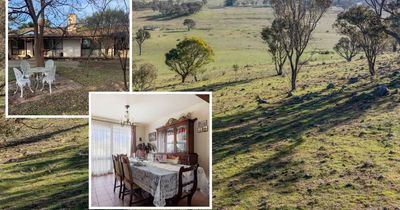 'Horse owner's dream' hits the market in Murrumbateman