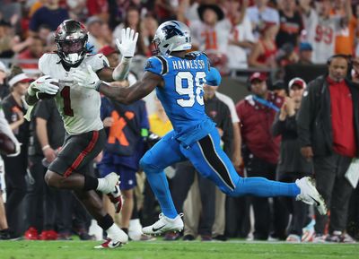 Marquis Haynes already released by Cardinals