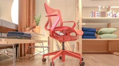 I tried every Herman Miller office chair, and this one is my favorite