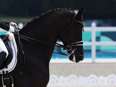 Horses in Olympics Games events suffering pain from too-tight nosebands, says expert