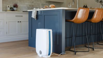 How to clean a dehumidifier in 3 easy steps