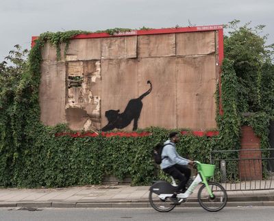 Meaning behind Banksy’s new series revealed as artist unveils sixth animal artwork in London