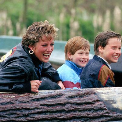 Princess Diana Would Have Been "Brokenhearted" Over Prince Harry and Prince William's Fractured Relationship, Royal Expert Claims